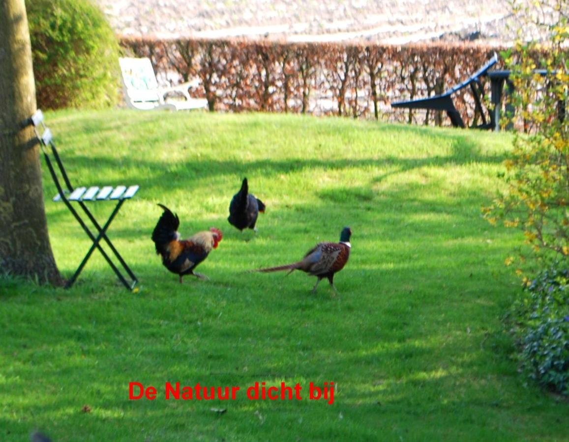 De Riekhoff Villa Een-West Dış mekan fotoğraf