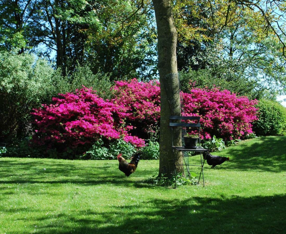 De Riekhoff Villa Een-West Dış mekan fotoğraf